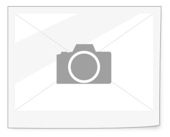 LX. FROZEN OKRA CUT 24X300GM (NGMO) [PS-1.49]